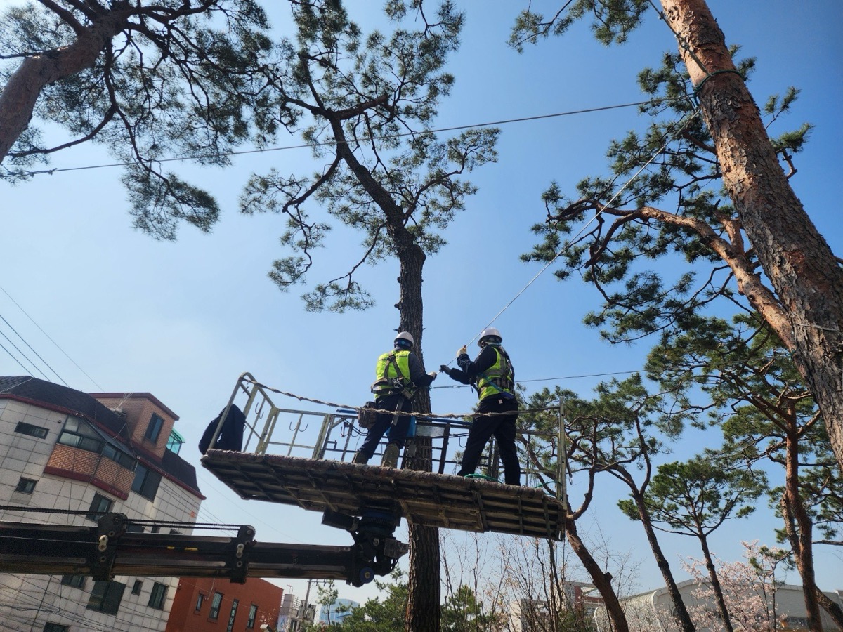 해피트리나무종합병원