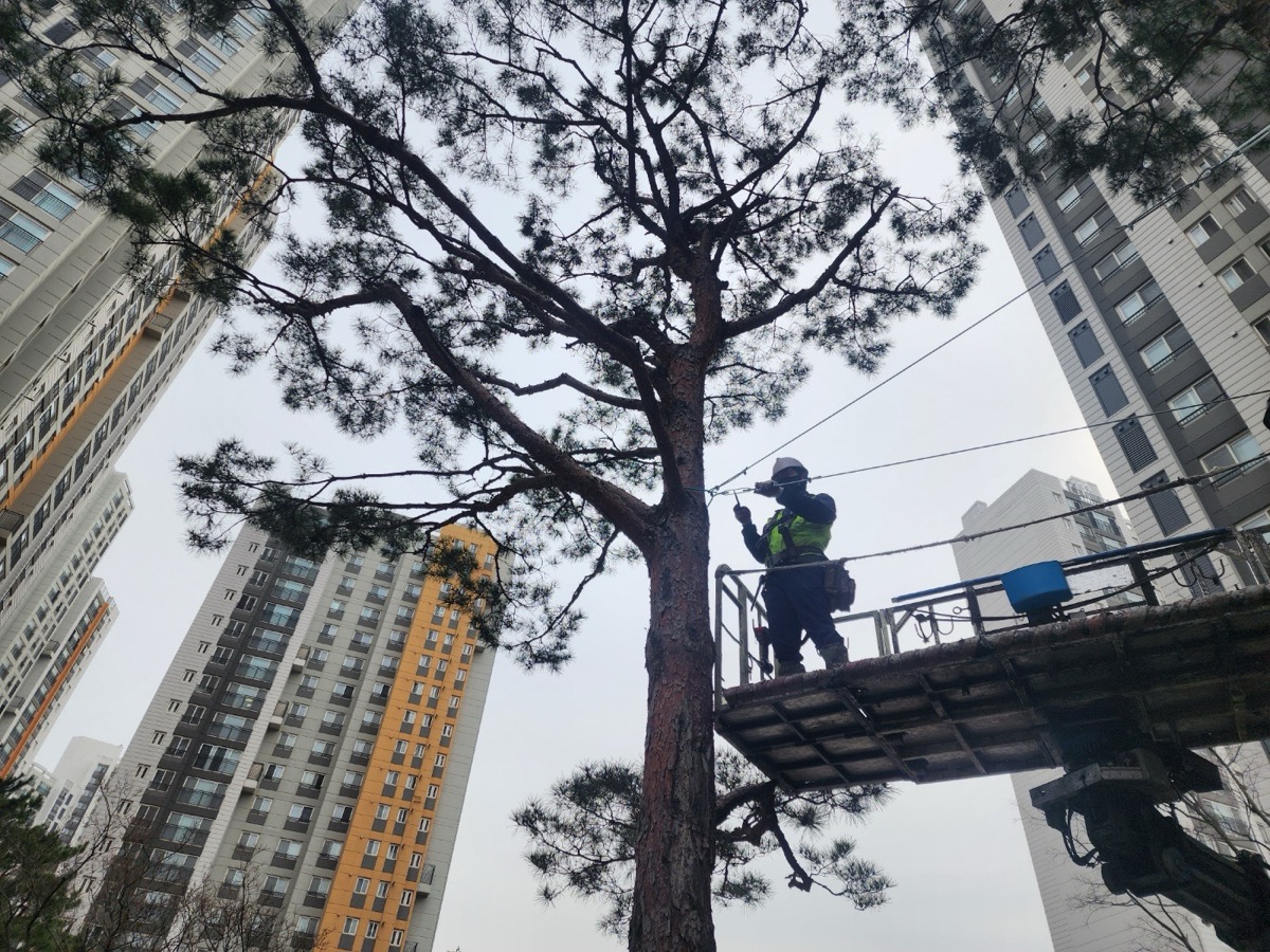 지지대 및 줄당김 설치